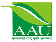 college title