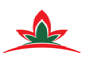 college title