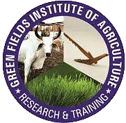 college title